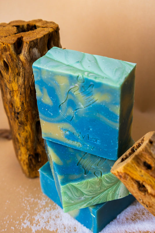 Salted Driftwood Bar Soap 🐚