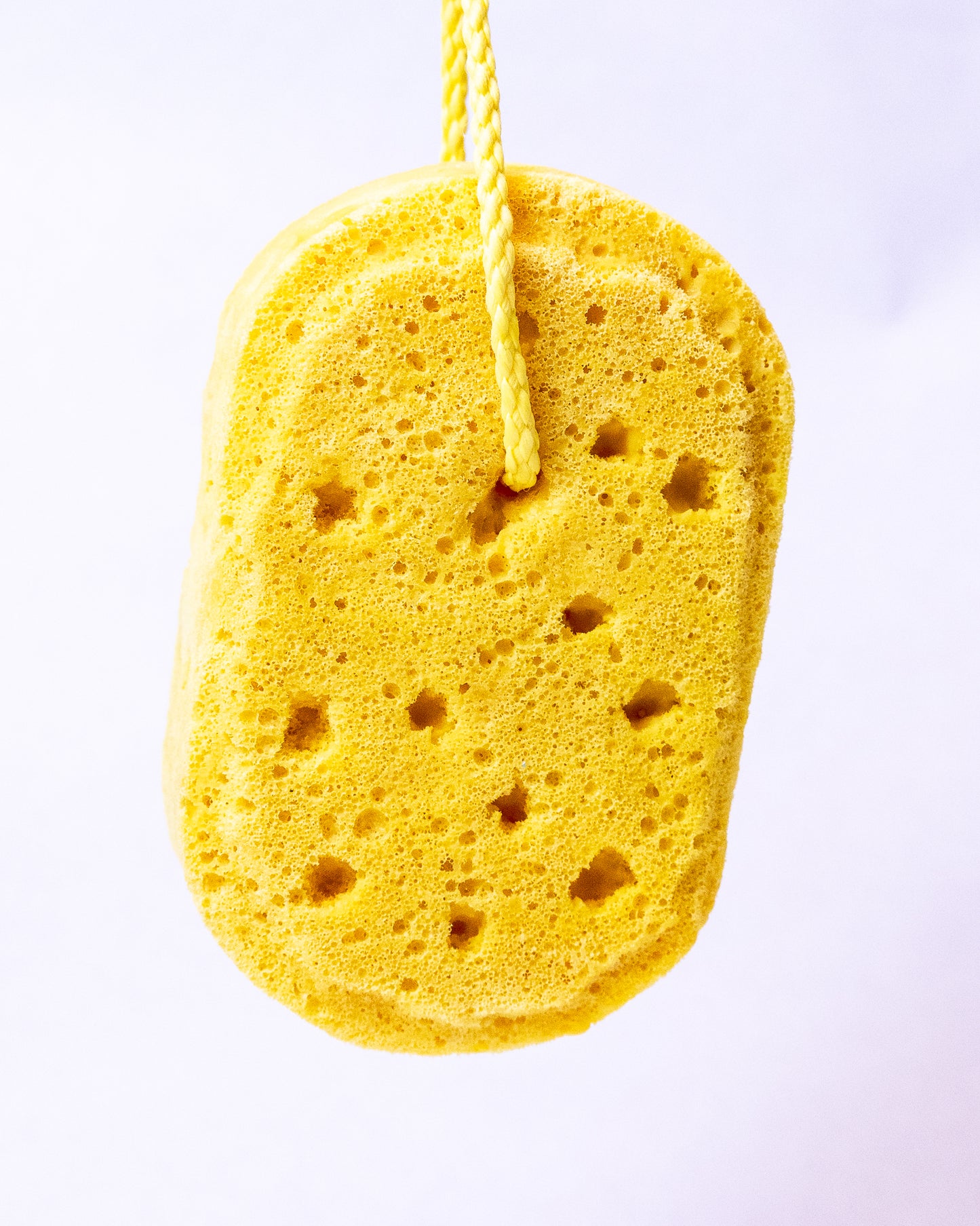 Golden Santel Soapy Sponge 🌞