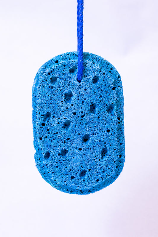 Mahogany Coconut Soapy Sponge 🥥