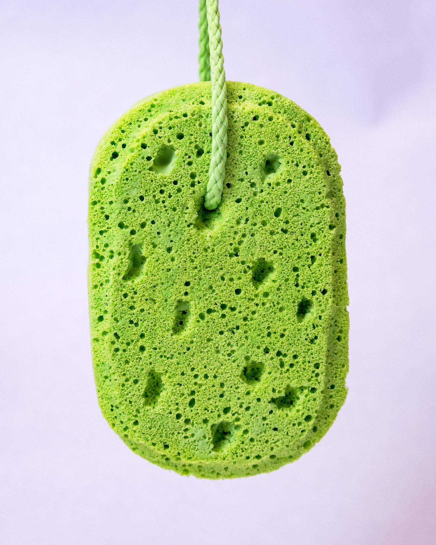 Emerald Grove Soapy Sponge 🌿