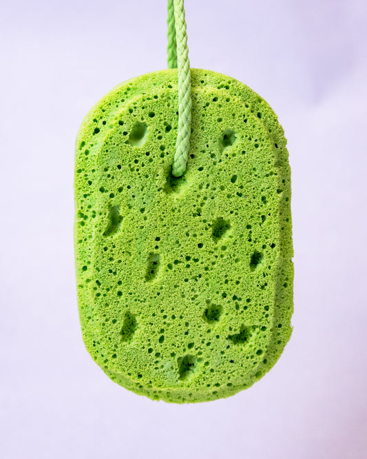 Emerald Grove Soapy Sponge 🌿