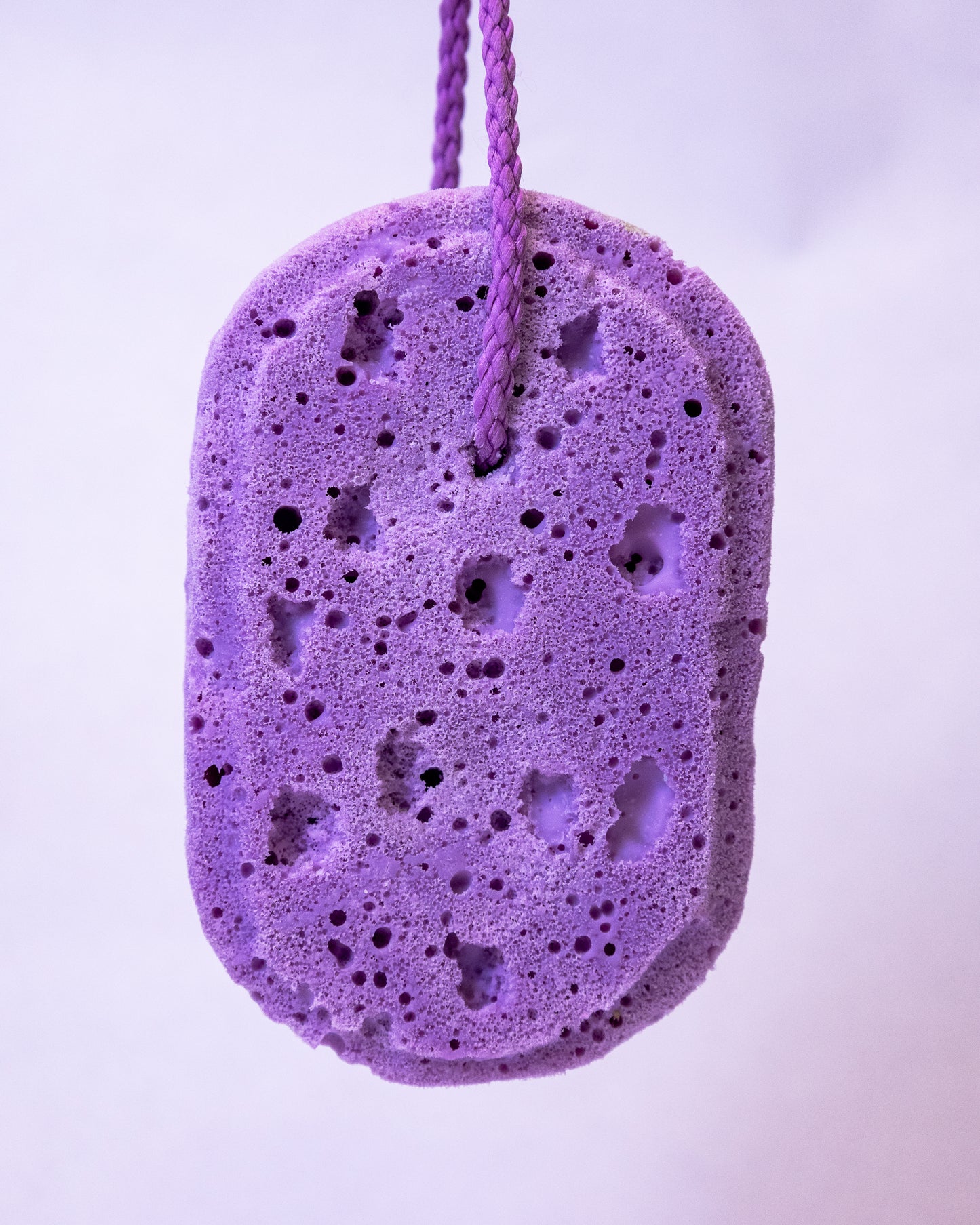 Lavender Soapy Sponge 🪻